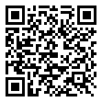 QR-Code - Logo - Fastgaming