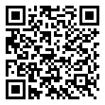 QR-Code - Flash Header